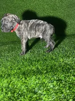 processed/509a7dc3-f2a7-4f5e-b9a5-ce61b90977cf/listing/d50085c6-3469-4657-a145-72c496e6cc00/22909a12-ffec-42a7-a71f-aa4cace235b0