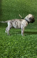 processed/509a7dc3-f2a7-4f5e-b9a5-ce61b90977cf/listing/eef7cea0-663c-487e-81e4-0df76b9e4f90/523212ef-fac1-4050-8325-ff765fec4a4f