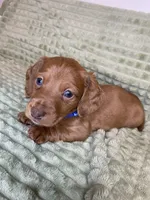 processed/50a8c761-dcb4-42c1-a2a5-1d2b3e21f69f/facility/7123bcee-b92f-464f-8a54-e220fcccb52a