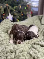 processed/50a8c761-dcb4-42c1-a2a5-1d2b3e21f69f/facility/acf9cf29-adf2-4189-a5cd-69c0b9b20778