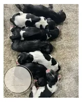 processed/50a8c761-dcb4-42c1-a2a5-1d2b3e21f69f/facility/c1999932-87e0-42ef-a75c-b285c472e496