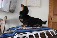 processed/50af7189-1772-4663-bf06-511e4204fd84/listing/4e744fb8-2343-4c82-9925-b637620b42b7/2a5f419b-ab84-4df3-91eb-dbf5ec7eda4a