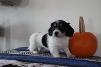 processed/50af7189-1772-4663-bf06-511e4204fd84/listing/4e744fb8-2343-4c82-9925-b637620b42b7/33bc7eaa-4f30-45a0-b2ce-8de4d3076770