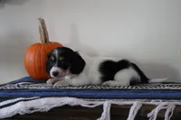 processed/50af7189-1772-4663-bf06-511e4204fd84/listing/4e744fb8-2343-4c82-9925-b637620b42b7/e3e5d09d-cab4-426c-b7d6-cfd46f46cf21