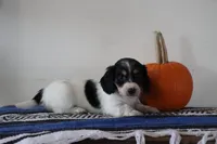 processed/50af7189-1772-4663-bf06-511e4204fd84/listing/4e744fb8-2343-4c82-9925-b637620b42b7/fb96bf77-e98c-4d65-a6c1-0559af1e7ba8