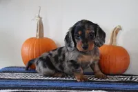 processed/50af7189-1772-4663-bf06-511e4204fd84/listing/8780db82-14a3-407d-bcf3-47a63c3b335c/60b31576-3dcb-472a-9c9b-3b73524215b2