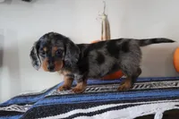 processed/50af7189-1772-4663-bf06-511e4204fd84/listing/8780db82-14a3-407d-bcf3-47a63c3b335c/eccfcd40-df6d-4141-bd90-a22b181b3e70