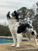 processed/50be07e9-567d-44cf-8a98-e42819bc01ca/facility/05a4e0f5-c752-4394-abb6-fd48196f6d9b