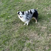 processed/50be07e9-567d-44cf-8a98-e42819bc01ca/facility/240e72f7-5ded-4b23-804f-15def555fe2e