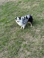 processed/50be07e9-567d-44cf-8a98-e42819bc01ca/facility/240e72f7-5ded-4b23-804f-15def555fe2e