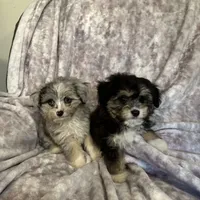 processed/50be07e9-567d-44cf-8a98-e42819bc01ca/facility/3b1afd0b-09e3-4f9f-a0fb-1ae5c52d8dfd