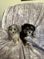 processed/50be07e9-567d-44cf-8a98-e42819bc01ca/facility/3b1afd0b-09e3-4f9f-a0fb-1ae5c52d8dfd