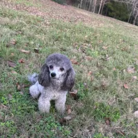 processed/50be07e9-567d-44cf-8a98-e42819bc01ca/facility/791c5a54-63ab-4a76-907b-111fd2c5a897