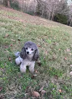 processed/50be07e9-567d-44cf-8a98-e42819bc01ca/facility/791c5a54-63ab-4a76-907b-111fd2c5a897