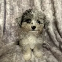 processed/50be07e9-567d-44cf-8a98-e42819bc01ca/facility/7be63ae3-ed50-4fc0-98e0-1eff5c81adc5