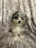 processed/50be07e9-567d-44cf-8a98-e42819bc01ca/facility/7be63ae3-ed50-4fc0-98e0-1eff5c81adc5