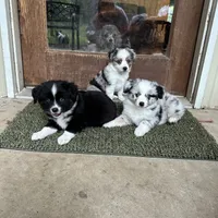 processed/50be07e9-567d-44cf-8a98-e42819bc01ca/facility/853f3830-7b8b-4702-ad07-11cfe669600e