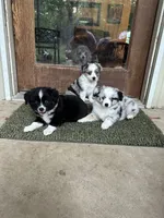 processed/50be07e9-567d-44cf-8a98-e42819bc01ca/facility/853f3830-7b8b-4702-ad07-11cfe669600e