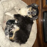 processed/50be07e9-567d-44cf-8a98-e42819bc01ca/facility/9abbed47-8c02-484e-8471-4a82fd33111f