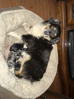 processed/50be07e9-567d-44cf-8a98-e42819bc01ca/facility/9abbed47-8c02-484e-8471-4a82fd33111f