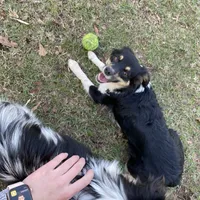 processed/50be07e9-567d-44cf-8a98-e42819bc01ca/facility/ab1f7f15-1a1f-4979-a49a-f38695776b8f