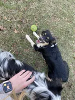 processed/50be07e9-567d-44cf-8a98-e42819bc01ca/facility/ab1f7f15-1a1f-4979-a49a-f38695776b8f