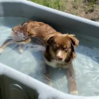 processed/50be07e9-567d-44cf-8a98-e42819bc01ca/facility/ba6a6566-762f-4d88-97b2-2a890dadb7c0