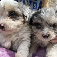 processed/50be07e9-567d-44cf-8a98-e42819bc01ca/facility/c8a79967-f778-4527-84b4-7a2f87070df4