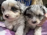 processed/50be07e9-567d-44cf-8a98-e42819bc01ca/facility/c8a79967-f778-4527-84b4-7a2f87070df4