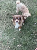 processed/50be07e9-567d-44cf-8a98-e42819bc01ca/listing/41b7e36d-4fa3-417e-af61-f84c6bdade9d/08e92a54-00d6-4a5c-9bb4-6605c255a50a