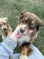 processed/50be07e9-567d-44cf-8a98-e42819bc01ca/listing/41b7e36d-4fa3-417e-af61-f84c6bdade9d/9e696c39-a7a5-46fa-96cc-17ebfff40d74