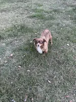 processed/50be07e9-567d-44cf-8a98-e42819bc01ca/listing/41b7e36d-4fa3-417e-af61-f84c6bdade9d/ad530279-e402-4ea6-aa6e-22f9d7942373