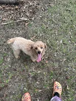 processed/50be07e9-567d-44cf-8a98-e42819bc01ca/listing/804827de-332d-482b-822f-e59c3e5288df/dbeeba17-9b98-440a-bb72-0698ef7230df