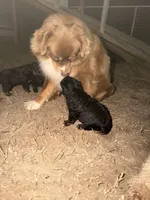 processed/50be07e9-567d-44cf-8a98-e42819bc01ca/listing/bd83f762-decb-4969-baa8-83570f29d670/56f20b41-0dab-410c-a3ea-8fc975ff5c2a