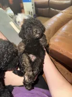 processed/50be07e9-567d-44cf-8a98-e42819bc01ca/listing/bd83f762-decb-4969-baa8-83570f29d670/5c164b0b-b975-43e5-b551-d2f134066307