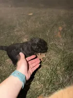 processed/50be07e9-567d-44cf-8a98-e42819bc01ca/listing/bd83f762-decb-4969-baa8-83570f29d670/60b6eac9-bcf6-429d-bb00-d713265b7834