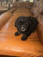 processed/50be07e9-567d-44cf-8a98-e42819bc01ca/listing/bd83f762-decb-4969-baa8-83570f29d670/c2fb3efa-91a5-473d-9db1-53f181b3025e