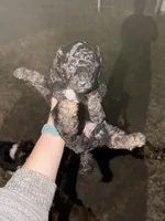 processed/50be07e9-567d-44cf-8a98-e42819bc01ca/listing/bd83f762-decb-4969-baa8-83570f29d670/c9eca4e9-5b84-488c-81fe-13e7b40abd2a