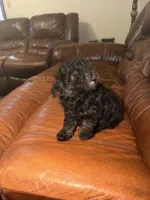 processed/50be07e9-567d-44cf-8a98-e42819bc01ca/listing/bd83f762-decb-4969-baa8-83570f29d670/cd9d6d63-82b7-4960-bbe3-feba0d41dc4b