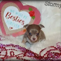 processed/50be2d7c-996a-48e3-830f-a178b099aee9/facility/b1218912-8fd6-4e30-8899-8ec93d3ef18b