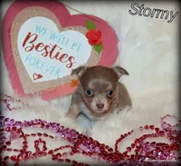 processed/50be2d7c-996a-48e3-830f-a178b099aee9/facility/b1218912-8fd6-4e30-8899-8ec93d3ef18b