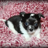 processed/50be2d7c-996a-48e3-830f-a178b099aee9/facility/d3c68b7a-2562-4e36-afba-a3479ae06a86