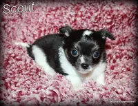 processed/50be2d7c-996a-48e3-830f-a178b099aee9/facility/d3c68b7a-2562-4e36-afba-a3479ae06a86