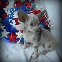 processed/50be2d7c-996a-48e3-830f-a178b099aee9/facility/edce6808-1fa7-4684-b98a-c17c2ce6dda0