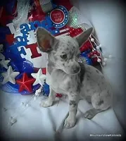 processed/50be2d7c-996a-48e3-830f-a178b099aee9/facility/edce6808-1fa7-4684-b98a-c17c2ce6dda0