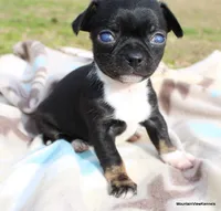 processed/50be2d7c-996a-48e3-830f-a178b099aee9/listing/40d1908c-4179-4982-9bcc-582c3a550f8b/bdceea7b-d3a9-4f72-9eb1-192c92c0f930