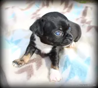 processed/50be2d7c-996a-48e3-830f-a178b099aee9/listing/40d1908c-4179-4982-9bcc-582c3a550f8b/cf8dc110-1f80-422b-ad9b-596e72c30bf6