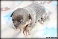 processed/50be2d7c-996a-48e3-830f-a178b099aee9/listing/6f77b81e-bbf8-4ba2-80b0-866dff18df45/6a261cce-f1f1-4f20-8ff0-44f96c5c0e62