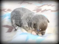 processed/50be2d7c-996a-48e3-830f-a178b099aee9/listing/6f77b81e-bbf8-4ba2-80b0-866dff18df45/73b4e37c-a4b7-4302-aaf0-641322bae594