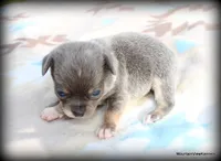 processed/50be2d7c-996a-48e3-830f-a178b099aee9/listing/6f77b81e-bbf8-4ba2-80b0-866dff18df45/cf754dc3-f464-4ca4-a2bc-a85c6f21a96e